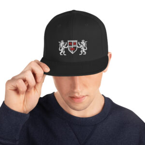 Snapback Cap - Image 11