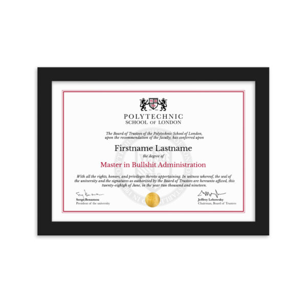 Framed degree duplicata - Image 6